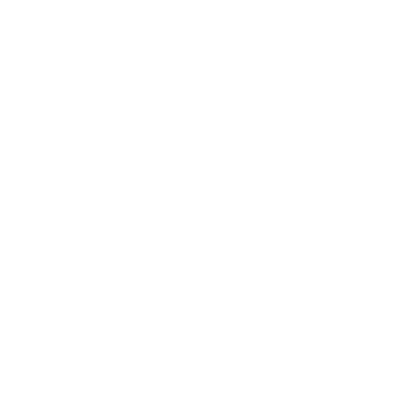 JoyRiders
